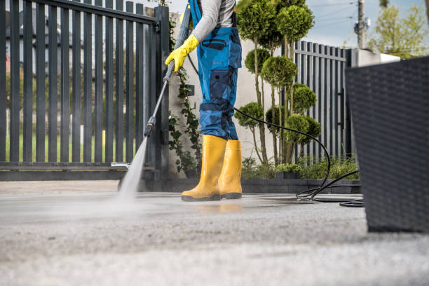 Best Patio and Deck Pressure Washing  in Palmer Ranch, FL