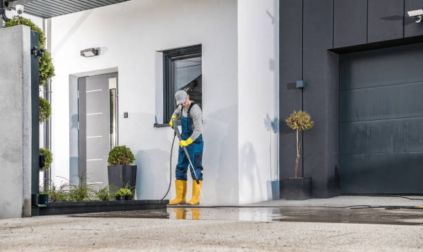 Best Rust Removal  in Palmer Ranch, FL